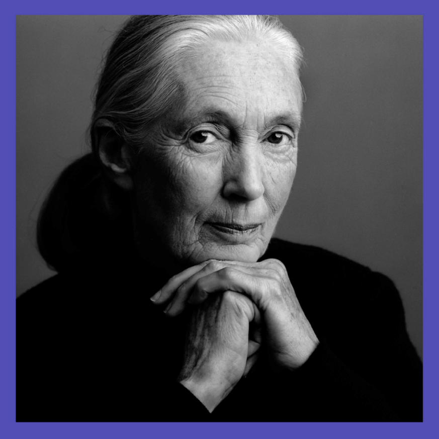 Dr Jane Goodall in conversation with Emma Lewisham
