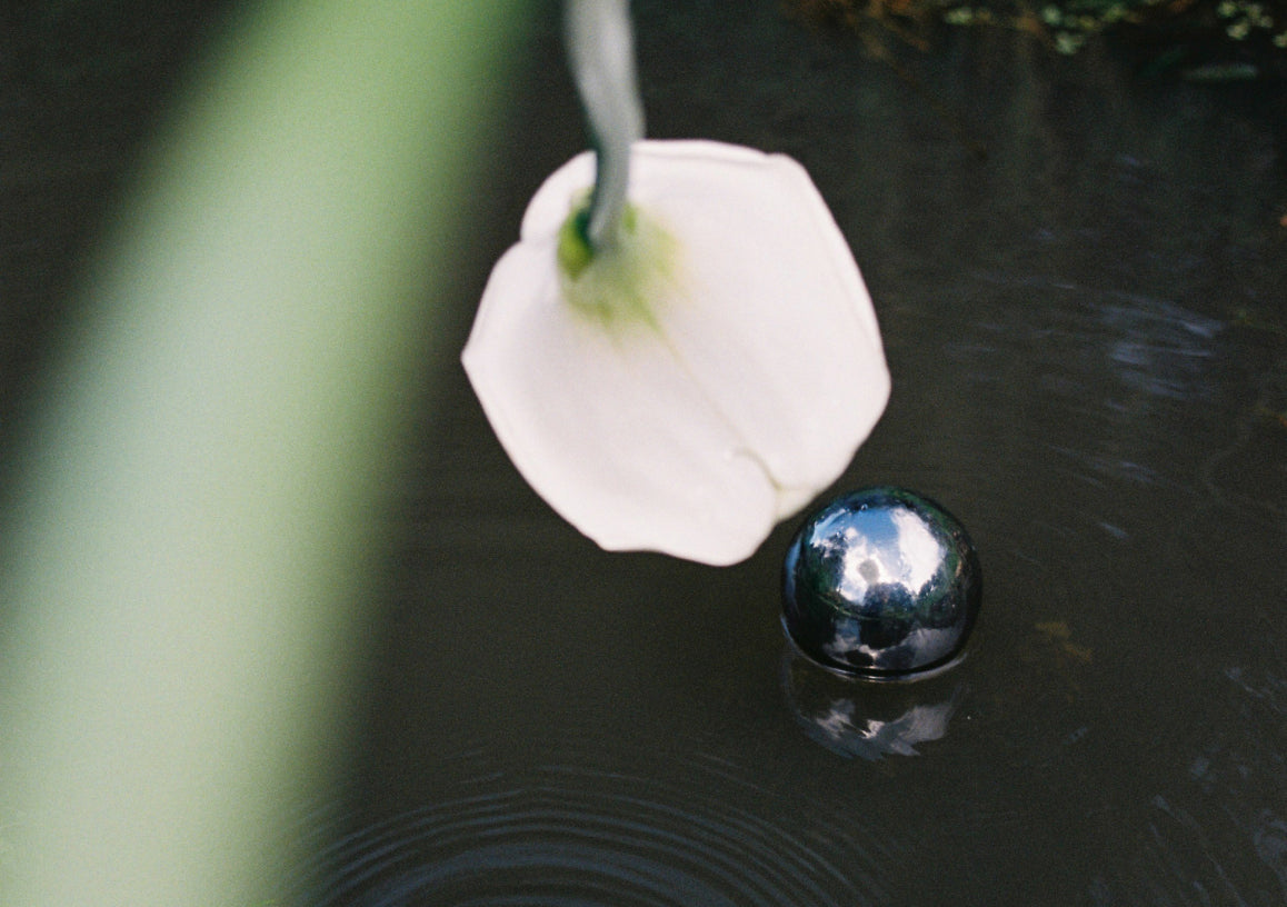 White flower with a black marble-like object on water